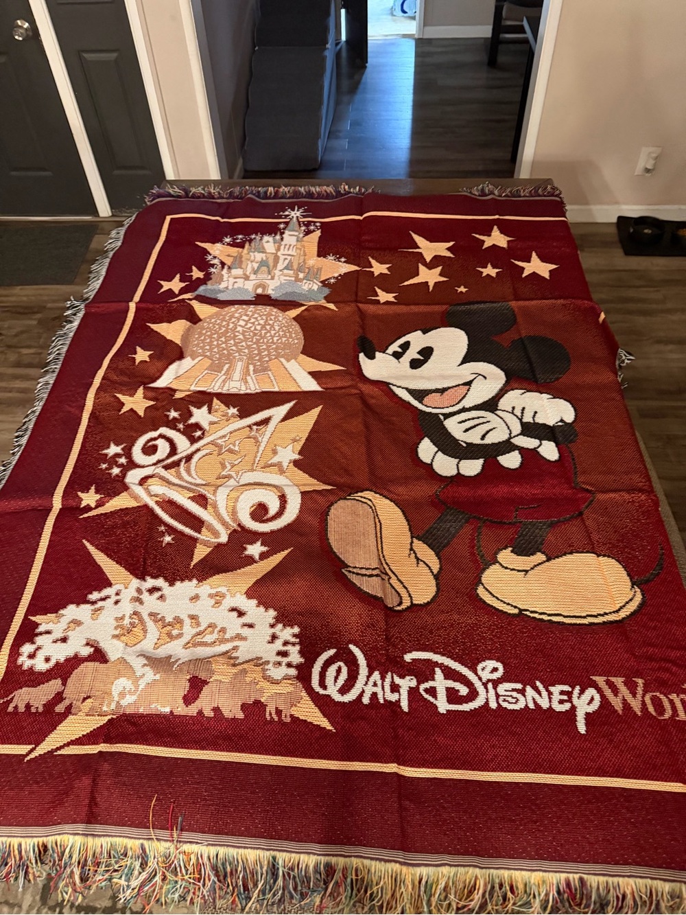Walt Disney World Mickey Mouse Woven Tapestry Fringe Throw Blanket Burgundy Park